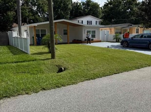 Carl C.'s lawn care services service result