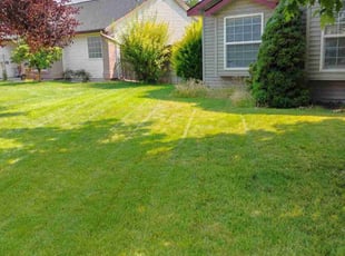 Ann H.'s lawn service service result