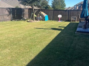 John F.'s grass maintenance service result