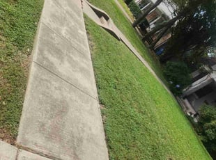 Debbie B.'s lawn care services service result