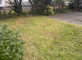 Joshua J.'s Leaf Removal service result