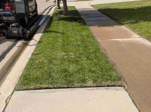 Jaden H.'s lawn care services service result