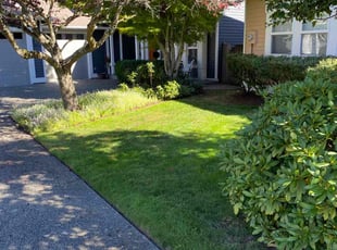 Michael J.'s grass cutting service result