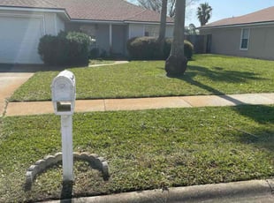 Dan S.'s lawn service service result