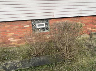 Jose C.'s Bush Trimming service result