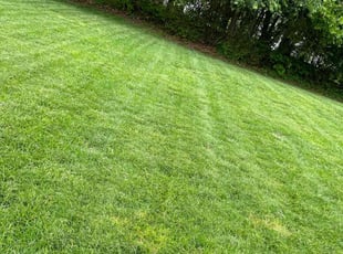 Kegan B.'s grass cutting service result