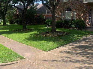 Lana F.'s turf maintenance service result