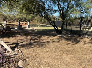 Linda D.'s lawn care services service result