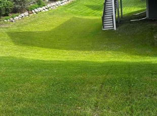 Barb P.'s lawn care services service result