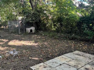 Tammy S.'s turf maintenance service result