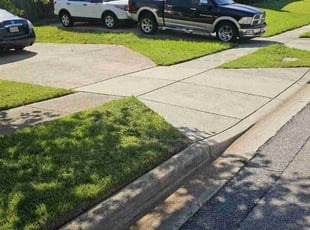 Tish B.'s turf care service result