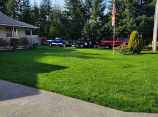 Leatoa A.'s lawn care services service result