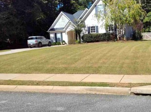 Stephanie L.'s Bush Trimming service result