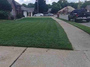 Edward P.'s grass cutting service result