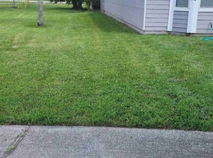 Shayla Marie M.'s lawn maintenance service result