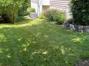 Bob P.'s lawn care service result