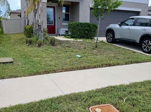 Judie W.'s Bush Trimming service result