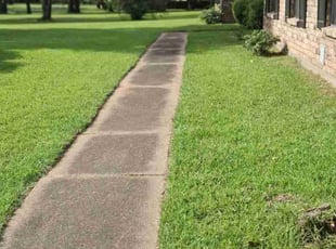 John K.'s lawn care service result