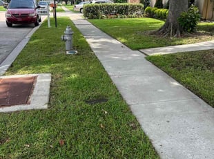 Chris W.'s lawn care service result