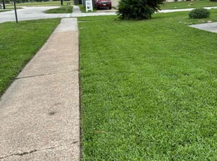 Cindie L.'s lawn maintenance service result