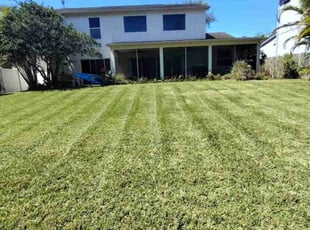 Rachel H.'s grass maintenance service result