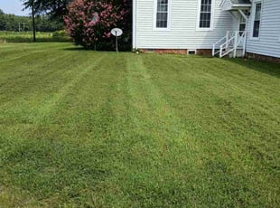 Donielle N.'s Long Grass Cleanup service result