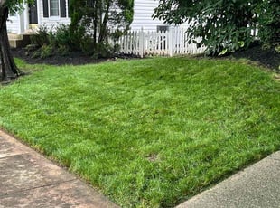 Arnetia B.'s yard maintenance service result