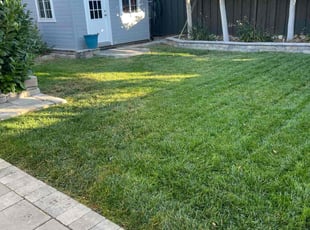 Ricky L.'s lawn care services service result