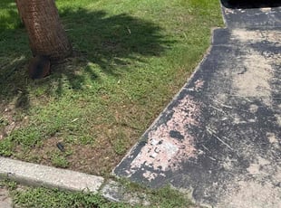 Gayle R.'s grass cutting service result