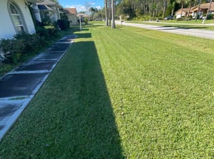 Ivan L.'s turf care service result