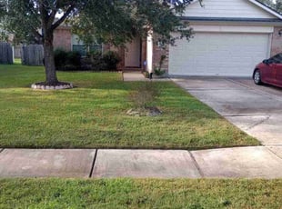 Ed C.'s turf maintenance service result