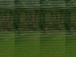 Clarence W.'s lawn service service result