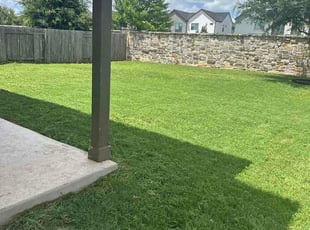 Jeeves S.'s grass cutting service result