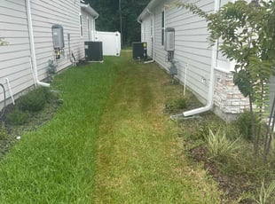 Eddie H.'s lawn service service result