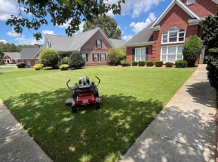 Ebony B.'s grass maintenance service result