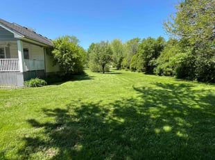 Terri R.'s grass maintenance service result