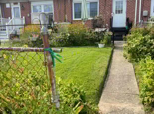 Mike B.'s lawn maintenance service result