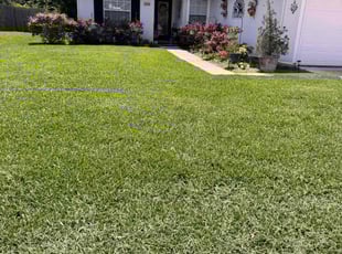 Lynn M.'s lawn care services service result
