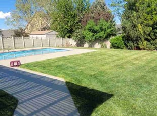 Judy T.'s turf maintenance service result