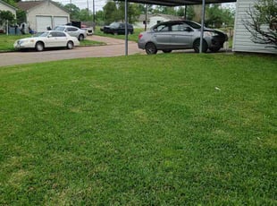 BILLY JOE S.'s lawn care service result