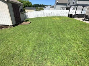 Paul P.'s turf care service result