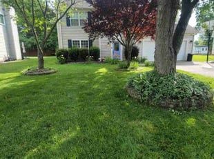 Yadira T.'s turf maintenance service result