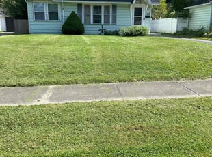 Nathan N.'s turf care service result