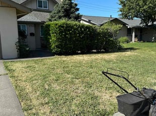 Ayanna T.'s lawn service service result
