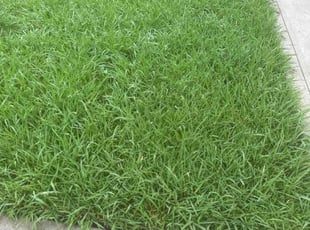 Julie B.'s lawn service service result