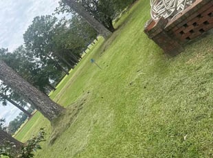 Charles K.'s lawn maintenance service result