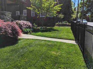 Katie F.'s lawn care services service result