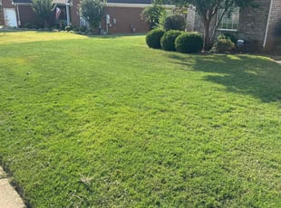 Alan S.'s turf care service result