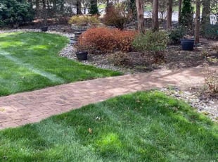 Elizabeth E.'s lawn care service result
