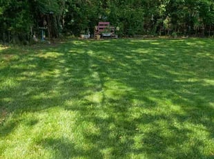 Benjamin M.'s lawn care services service result